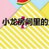 小龍房間里的魚（關(guān)于小龍房間里的魚簡介）