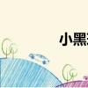 小黑球（關(guān)于小黑球簡介）
