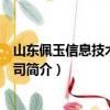 山東佩玉信息技術(shù)有限公司（關(guān)于山東佩玉信息技術(shù)有限公司簡介）