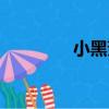 小黑菇（關于小黑菇簡介）