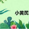 小黃芪酒（關(guān)于小黃芪酒簡介）