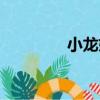 小龍妹（關(guān)于小龍妹簡介）