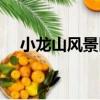 小龍山風(fēng)景區(qū)（關(guān)于小龍山風(fēng)景區(qū)簡介）