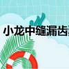 小龍中縫漏齒票（關于小龍中縫漏齒票簡介）