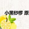 小黑桫欏 原變種（關(guān)于小黑桫欏 原變種簡介）