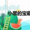 小黑的寶藏2（關(guān)于小黑的寶藏2簡介）