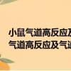 小鼠氣道高反應(yīng)及氣道阻力與肺順應(yīng)性分析系統(tǒng)（關(guān)于小鼠氣道高反應(yīng)及氣道阻力與肺順應(yīng)性分析系統(tǒng)簡(jiǎn)介）