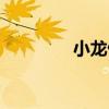 小龍俠（關于小龍俠簡介）