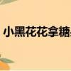 小黑花花拿糖果（關于小黑花花拿糖果簡介）
