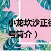 小龍坎沙正街188號（關于小龍坎沙正街188號簡介）