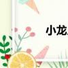 小龍人（關于小龍人簡介）