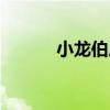 小龍伯尼（關于小龍伯尼簡介）