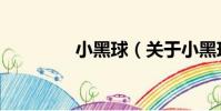 小黑球(關(guān)于小黑球簡介)