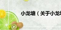 小龍?zhí)粒P于小龍?zhí)梁喗椋? style=