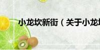 小龍坎新街(關于小龍坎新街簡介)