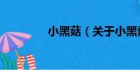 小黑菇(關于小黑菇簡介)