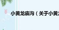小黃龍廟溝(關于小黃龍廟溝簡介)