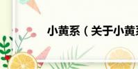 小黃系(關(guān)于小黃系簡介)