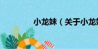 小龍妹(關(guān)于小龍妹簡介)