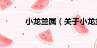 小龍?zhí)m屬(關于小龍?zhí)m屬簡介)