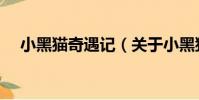 小黑貓奇遇記(關(guān)于小黑貓奇遇記簡介)