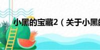小黑的寶藏2(關(guān)于小黑的寶藏2簡介)