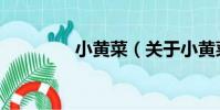 小黃菜(關于小黃菜簡介)