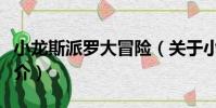 小龍斯派羅大冒險(關(guān)于小龍斯派羅大冒險簡介)