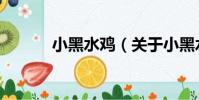 小黑水雞(關于小黑水雞簡介)