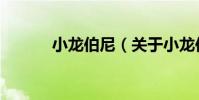小龍伯尼(關于小龍伯尼簡介)