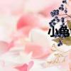 小龜龜（關(guān)于小龜龜簡(jiǎn)介）