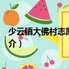 少云鎮(zhèn)大佛村志愿服務(wù)隊(duì)（關(guān)于少云鎮(zhèn)大佛村志愿服務(wù)隊(duì)簡(jiǎn)介）