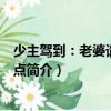 少主駕到：老婆請(qǐng)你安分點(diǎn)（關(guān)于少主駕到：老婆請(qǐng)你安分點(diǎn)簡(jiǎn)介）