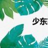 少東家（關(guān)于少東家簡介）