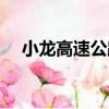小龍高速公路（關(guān)于小龍高速公路簡介）