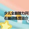 少兒全腦智力開發(fā)：右腦訓(xùn)練營（關(guān)于少兒全腦智力開發(fā)：右腦訓(xùn)練營簡介）