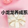 小龍龍養(yǎng)成系統(tǒng)（關(guān)于小龍龍養(yǎng)成系統(tǒng)簡介）