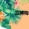 范博梅爾拜仁（范博梅爾打傘）
