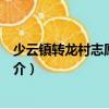 少云鎮(zhèn)轉(zhuǎn)龍村志愿服務(wù)隊(duì)（關(guān)于少云鎮(zhèn)轉(zhuǎn)龍村志愿服務(wù)隊(duì)簡(jiǎn)介）