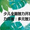 少兒全腦智力開發(fā)：多元智力開發(fā)訓(xùn)練營（關(guān)于少兒全腦智力開發(fā)：多元智力開發(fā)訓(xùn)練營簡介）