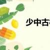 少中古村（關于少中古村簡介）