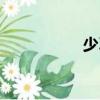 少習(xí)（關(guān)于少習(xí)簡(jiǎn)介）