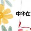 中華在售車型（中華在線詞典）