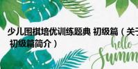 少兒圍棋培優(yōu)訓(xùn)練題典 初級篇(關(guān)于少兒圍棋培優(yōu)訓(xùn)練題典 初級篇簡介)