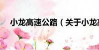 小龍高速公路(關(guān)于小龍高速公路簡介)