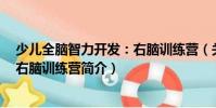 少兒全腦智力開發(fā):右腦訓(xùn)練營(關(guān)于少兒全腦智力開發(fā):右腦訓(xùn)練營簡介)