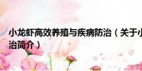 小龍蝦高效養(yǎng)殖與疾病防治(關(guān)于小龍蝦高效養(yǎng)殖與疾病防治簡介)