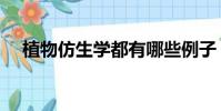 植物仿生學(xué)都有哪些例子(植物仿生學(xué))
