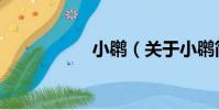 小?(關(guān)于小?簡(jiǎn)介)