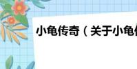 小龜傳奇(關(guān)于小龜傳奇簡介)